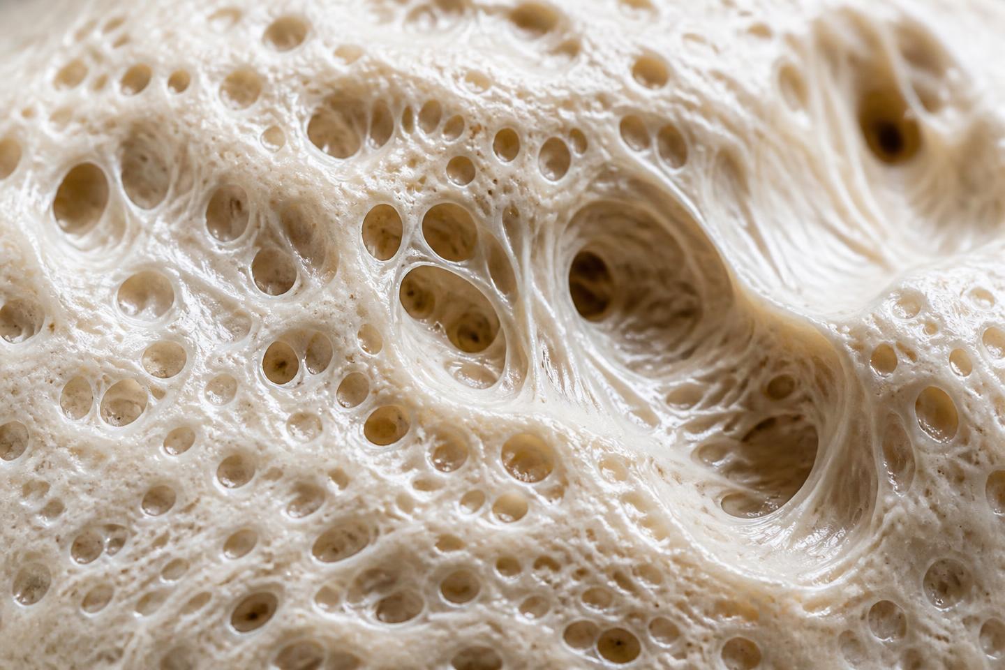 Macrofotografia da superfície de uma massa em fermentação